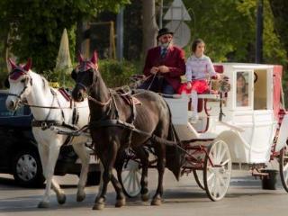Neuer Markt Maison d'hôtes Vienne